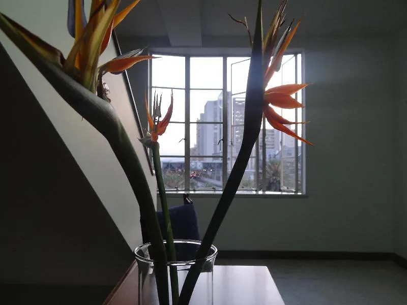 ***  Hotel Nutibara Medellín Colombia